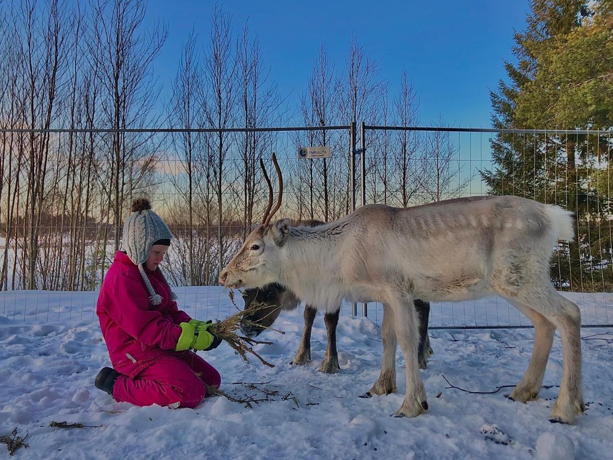 Beautiful Rural Experience With Reindeer Villa Tervola Exterior photo